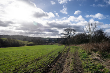 Fototapeta na wymiar Country path through the fields