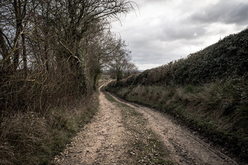 Old path through the countryside