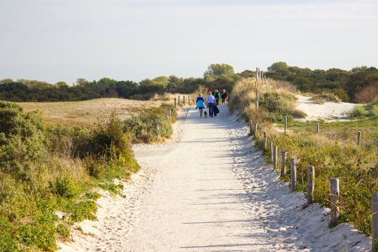 Path trough the dunes, Renesse, the Netherlands