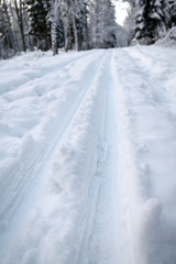 Fototapeta na wymiar Skis traces in the snow