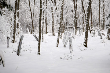 Young trees protection