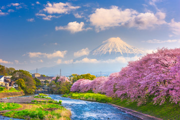 Mt. Fuji, Japan spring landscape.