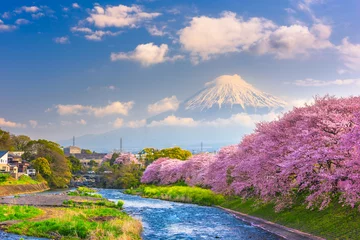 Foto auf Acrylglas Fuji Mt. Fuji, Japan spring landscape.
