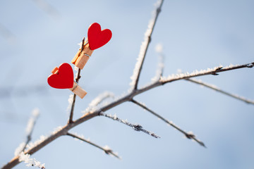 two decorative wooden red hearts-clothespins on a snow-covered tree branch on a Sunny winter day.for Valentine's day, wedding, love message