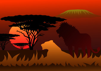 Fototapeta na wymiar Africa landscape with lions sunset and Kilimanjaro