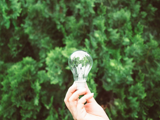 Concept save energy efficiency. Hand holding light bulb on blurred tree background