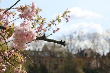 Frühling