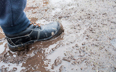 foot of a tourist in a swamp, shoes in the swamp