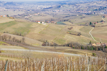 Obraz premium Langhe