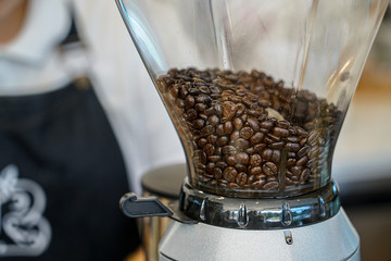 coffee beans in coffee grinder machine