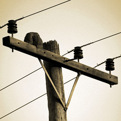 bird house at electric wire