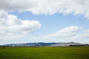 Fototapeta na wymiar Field of wind power