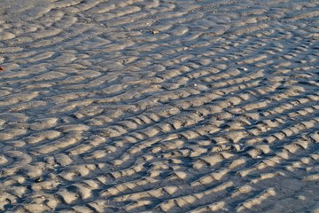 Ripples in the Sand