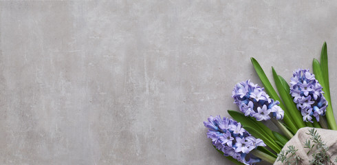 Blue hyacinth flowers on light stone background, top view with copy-space.