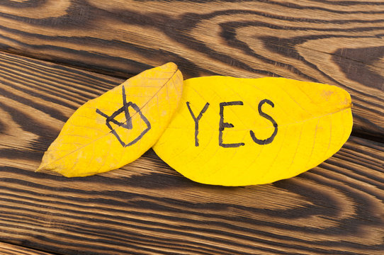 Handwritten inscription of black color check mark and YES on yellow falling autumn leaves on old rustic brown board