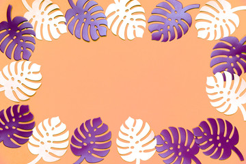 Colored monstera plant background. Monstera leaves on coral color background. Summer minimal concept. Space for text