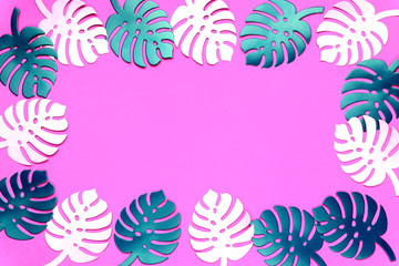 Colored monstera plant background. Monstera leaves on plastic pink background. Summer minimal concept. Space for text