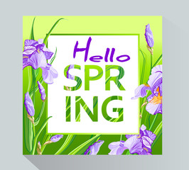 Fototapeta na wymiar Hello spring background with Irises flowers. Spring placard, poster, flyer, banner invitation card.