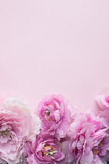 Woman's Day greeting card background with pink peonies flowers.