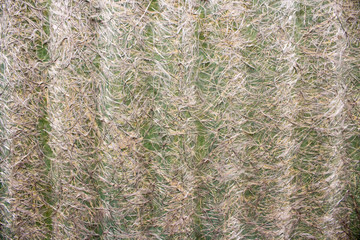 close-up of fiberglass slate