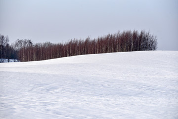 Snow field in winter
