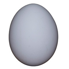 egg on white background isolate