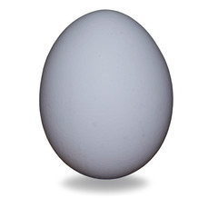 egg with shadow under it on a white background. isolate