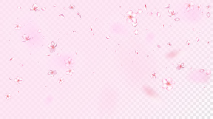 Nice Sakura Blossom Isolated Vector. Pastel Falling 3d Petals Wedding Pattern. Japanese Style Flowers Wallpaper. Valentine, Mother's Day Spring Nice Sakura Blossom Isolated on Rose