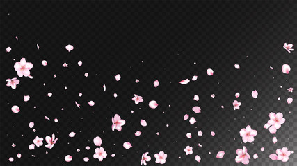 Nice Sakura Blossom Isolated Vector. Summer Flying 3d Petals Wedding Border. Japanese Funky Flowers Illustration. Valentine, Mother's Day Spring Nice Sakura Blossom Isolated on Black