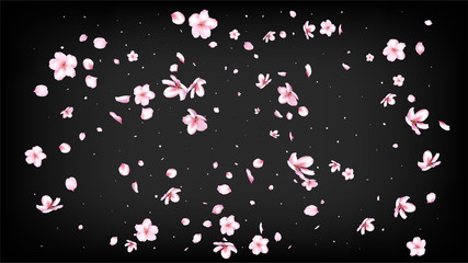 Nice Sakura Blossom Isolated Vector. Tender Falling 3d Petals Wedding Design. Japanese Style Flowers Wallpaper. Valentine, Mother's Day Pastel Nice Sakura Blossom Isolated on Black