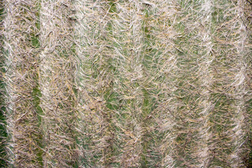 close-up of fiberglass slate