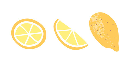 Juicy Lemon and lemon slice vector illustration on white background
