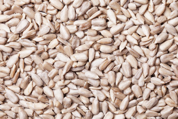 Hulled sunflower seeds texture. No shell sunflower seeds food pattern.	