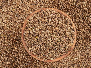 Bowl of hemp seeds. Bird food.