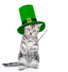 St Patrick's Day concept. Funny kitten in the hat of the leprechaun pointing on empty space....