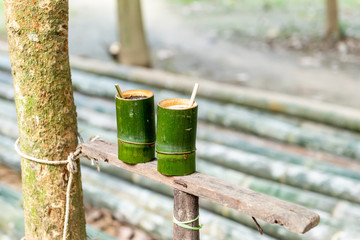 Green bamboo cylinder coffee, tea cup, nature product from bamboo, with mountain view background
