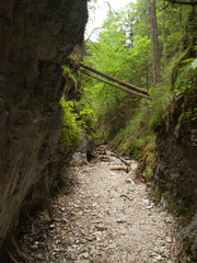 Hidden path between rocks in the Slovak Paradise, Slovakia, Europe.