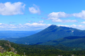 Fototapeta na wymiar 十和田八幡平国立公園。八幡平頂上より岩手山を望む。八幡平　岩手　日本。６月下旬。