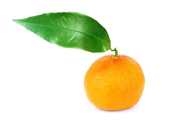 Tangerine with a leaf  on white background