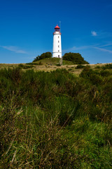 Fototapeta na wymiar postcard lighthouse on isle of Hiddensee in summer
