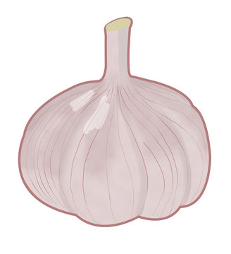 Kawaii vegetable garlic