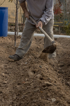 Hombre utilizando una azada para enterrar las patatas