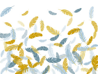 Detailed majestic feather on white design.