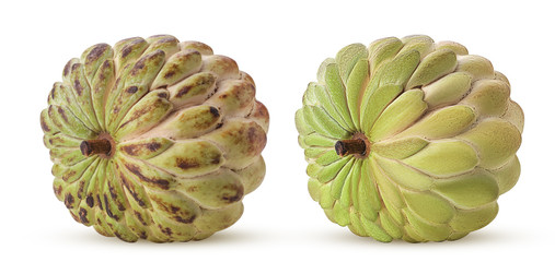 Sugar-apple, fruit of Annona squamosa cherimoya before processing, and after.