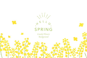 菜の花　背景イラスト