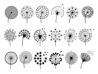 Fotobehang Dandelion silhouettes. Herbal illustrations flowers decoration concept vector botany illustrations. Black silhouette of summer flower dandelion © ONYXprj