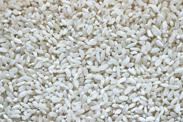 The texture of the round grain rice. Rice groats.