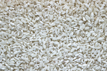 The texture of the round grain rice. Rice groats.