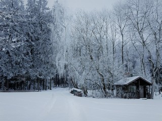 Winterlandschaft
