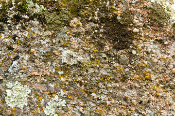 Texture of a granite stone I